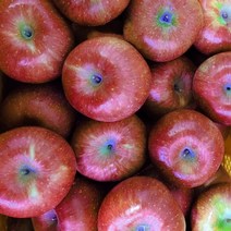 가성비 좋은 제철홍로사과 중 알뜰하게 구매할 수 있는 추천 상품