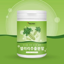 에너데이 국산 100% 셀러리 분말 가루 파우더 추출물 추출분말 식이섬유 폴라보노이드 마그네슘 엽산 칼슘 비타민K 샐러리 먹는법 추출액 국내산셀러리 추천