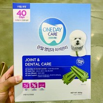 원데이케어 애견관절 치석케어 15g x 40개입, For Pet 15g