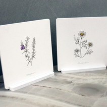 데코밍_테이블액자2P드로잉플라워01(pa761)_데스크액자세우는액자스탠드장식디자인액자