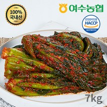 여수농협 [여수농협] 여수돌산 갓김치7kg, 단품없음