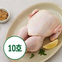 퍼스트픽 초신선 국내산 갓잡은 생닭 10호 (냉장), 1개