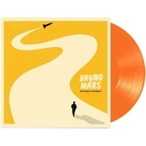 브루노 마스 Doo-Wops & Hooligans LP 레코드 판