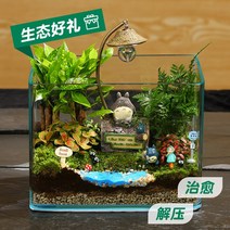 지브리 토토로 DIY 워터가든 이끼 테라리움 만들기 비바리움 키트, 02. 완제품