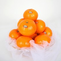 [초록자연] 천혜향 3kg(8-10과) 제주 감귤, 상세 참조