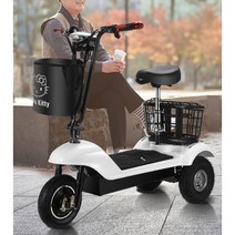 삼륜 전기 스쿠터 전동 세발 출퇴근용 오토바이 경량 레저 소형, 36V, B