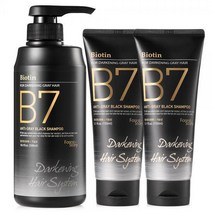 포레스트스토리 B7 블랙 새치 탈모 샴푸 500ml + 150ml 2개, 1세트