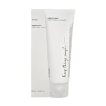 아누아 어성초 아크네 약산성 클렌징 폼 120ml, 1개