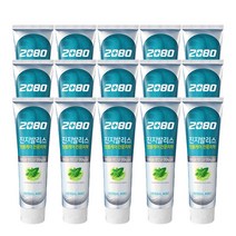 2080 진지발리스 허벌민트 치약 120g, 15개