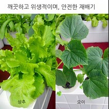 야채재배기 식물재배기 수경재배 가정용 실내용, A. 8홀 기본형(순환형), 병렬형수관