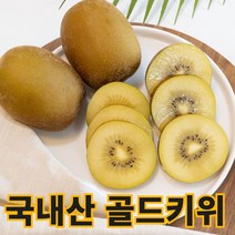 국내산 고당도 골드키위 그린키위 중과 대과 특대과 2kg 5kg, 국산 골드키위 2kg 대 20개