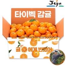 Gs특가제주직송 올탑농원 타이벡 감귤 4.5kg 로얄소과