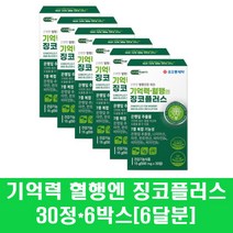 징코 영양제 은행잎 추출물 캡슐 플라보놀배당체 나이아신 판토텐산 아연 비타민B 기억력 혈행 메모리 집중력 부모님 수험생 노인, 6박스