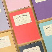 건망증 더메모 정석 스터디플래너 수능 체크 투두리스트 일일업무일지 공부 하루계획표 한달 운동일기 대학생 100일, 스카이