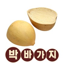 전통 추억의 시골 박바가지 함진아비 액막이 함바가지 옛날소품, 박바가지특대