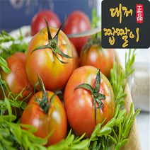 [최상등급] 부산 대저 짭짤이 토마토 정품 2.5kg, 1박스, 로얄 짭짤이 토마토2.5kg S (5번~6번)