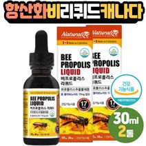 입안청결 항산화제 수용성 비프로폴리스 BEE PROPOLIS 플라보노이드 FLAVONOID 40대 50대 중년남성 직장인 구취관리 천연항균물질 액상 리퀴드타입 수용성