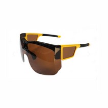 썬가드광학_편광 선글라스 X-2 view