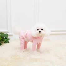 [펫디자인] 싱글스판올인원 8colors 강아지옷추천 강아지올인원, 핑크