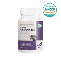 눈건강 차즈기 빌베리 추출물 600mg 120정 유기농 빌베리 차조기 잎 25배 고농축 말린 차지기 자소엽 루테올린 국산 식약처 식약청 인정 인증, 눈엔차즈기600mgx120정1set