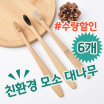 환경을 생각한다면 생분해 친환경 모소 대나무 칫솔, 6개 (개당 1,316원)
