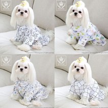 E-An스토리 PH 도그포즈 웰빙 인견 셔츠, 주주클럽