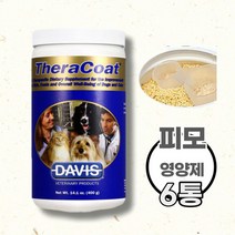 데이비스 테라코트 피모 영양제 400g 6, 상세페이지 참조, 상세페이지 참조, 상세페이지 참조
