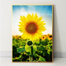 화색갤러리 풍수 인테리어 23 해바라기그림 액자 프리미엄 캔버스천으로 인화, 골드무광