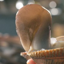 [명품] 천수만 여수 자이언트 명품 손질새조개 200g /500g, 01.200g(1팩), 1개