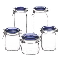 보르미올리 피도 밀폐용기 블루 5종, 1개, 500ml