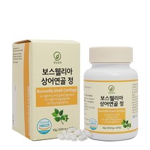 보스웰리아 상어연골 콘드로이친 60정, 1개