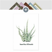 1300K 인테리어 캔버스 선인장액자 아테누아타 하월시아, 액자:매트액자 [앤틱]