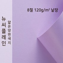 뉴씨플레인 종이문화 얇은 양면색지 120g 8절 낱장 1매 No.28 연보라색, 1장