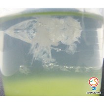 식물의DNA추출(5인용) RSZ