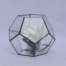테라리움 용기 인테리어 화분 투명 수생식물 크리스탈 모양 Terrariums 탁상 상자 꽃병 공 Hanabusa 유리 정원 병, N09 .Silver20x20x20cm