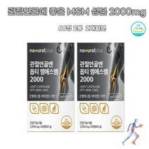 MSM 엠에스엠 joint FDA인증 디메틸설폰 뼈건강 옵티 미국식약처 상어연골 피쉬콜라겐 영양제 유황가루