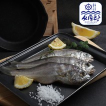 [씨토랑]영광법성포 참굴비 20미 1.4kg, 필수선택:참굴비 20미 1.4kg