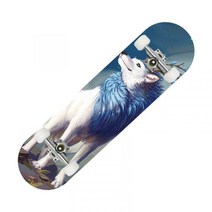 초보자 입문자 스케이트보드 랜드서핑 서프스케이트 스케이드보드, 물고기도 새도 아니다