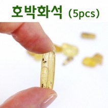 천연 호박화석 5P 소나무 송진 관찰 학습 방과후 재료 창의 도구 수업 과학 실습 준비물 교재