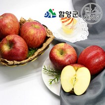[지리산함양]안의농협 실속형 사과선물세트 10kg 28-32과, 단품