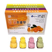 제주 감귤 한라봉 백년초 녹차 초콜릿 4종세트