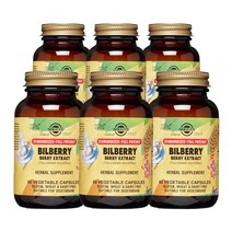 솔가 [6개 SET] 빌베리 베리 추출물 60정 (베지캡슐) Solgar Bilberry Berry Extract 60Vcaps, 1개