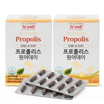 하이웰 프로폴리스 원어데이 x 2통