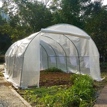 비닐하우스 6m 조립식 소형 온실 난방 냉동방지 아치, 두꺼운그린 6x3x2.2m 단일문(8개 창문)