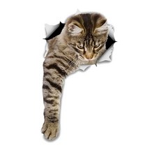 차량용 냉장고 미니 냉온장고 캠핑용 온장고 3Ratels CM29 사랑스러운 고양이 페르시아 Birman Bombay 영국, 01 CM29-1_01 15cm(5.9 inch)