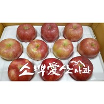 [소백애산사과] 3미사과(3가지맛 부사 시나노스위트 홍로) 소백사과영농[3kg 11~13개][5kg 17~20개], 5kg 17~20개