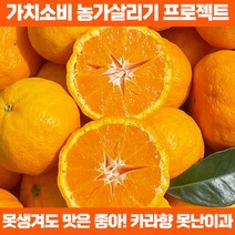 가치소비 농가살리기 프로젝트 못난이 카라향 4kg랜덤과, 단품