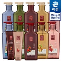 애경 [샴푸180ml 증정] 프리미엄 홍삼헤어케어 동의홍삼 샴푸/린스/트리트먼트 500ml x1개, 매화홍삼샴푸 500ml