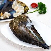 모듬조개세트 전복 왕가리비 돌조개 백생합 키조개 소라 등 실속 고급 최상급세트, 키조개 1개