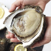 숨비해물 거제도 해녀 자연산 바위굴3kg(3~9미내외), 원물3kg(껍질포함), 단품